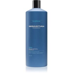 Sebastian Professional Hydre hloubkově hydratační kondicionér 1000 ml obraz