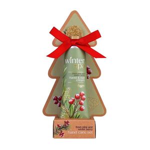 ACCENTRA Winter spa set péče o ruce s pilníkem zimní ovoce 30 ml obraz