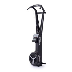 TRINFIT Běžkařský trenažér Ski Trainer Pro Wall obraz