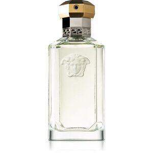 Versace The Dreamer toaletní voda pro muže 100 ml obraz