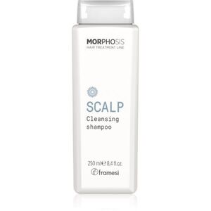 Framesi Morphosis Scalp hloubkově čisticí šampon 250 ml obraz