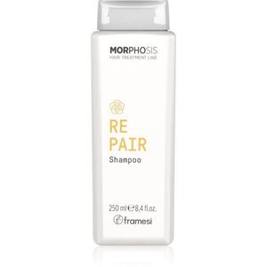 Framesi Morphosis Repair obnovující šampon pro suché, namáhané vlasy 250 ml obraz