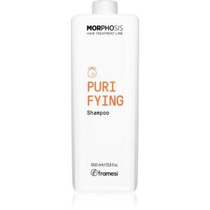 Framesi Morphosis Purifying čisticí šampon proti lupům 1000 ml obraz