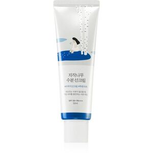 ROUND LAB Birch Juice Moisturizing Sunscreen hydratační a ochranný krém SPF 50+ 50 ml obraz