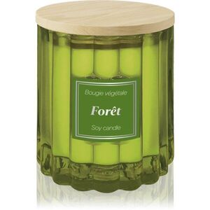 Esprit Provence Forêt vonná svíčka s víčkem 100 g obraz