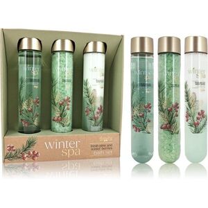 Accentra Winter Spa Bath Set dárková sada do koupele 1 ks obraz