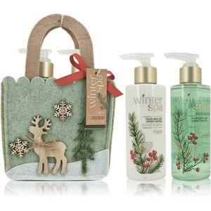 Accentra Winter Spa Hand Care Set dárková sada na ruce 1 ks obraz