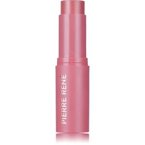 Pierre René Blush Me Stick tvářenka v tyčince odstín 05 Cherry Lady 10.5 g obraz