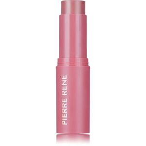 Pierre René Blush Me Stick tvářenka v tyčince odstín 04 Blush Mauve 10.5 g obraz