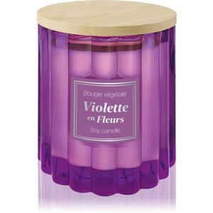 Esprit Provence Violette en Fleurs vonná svíčka s víčkem 100 g obraz