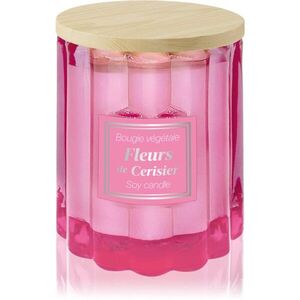 Esprit Provence Fleurs De Cerisier vonná svíčka s víčkem 100 g obraz
