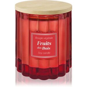 Esprit Provence Fruits Des Bois vonná svíčka s víčkem 100 g obraz
