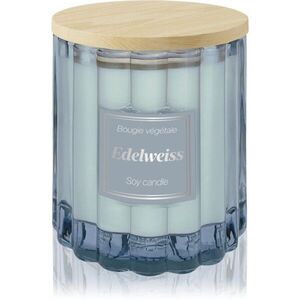 Esprit Provence Edelweiss vonná svíčka s víčkem 190 g obraz