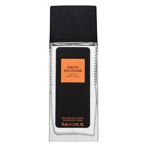David Beckham Bold Instinct deodorant s rozprašovačem pro muže 75 ml obraz