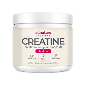 Allnature Sportlab Creatine monohydrát malina 300 g obraz